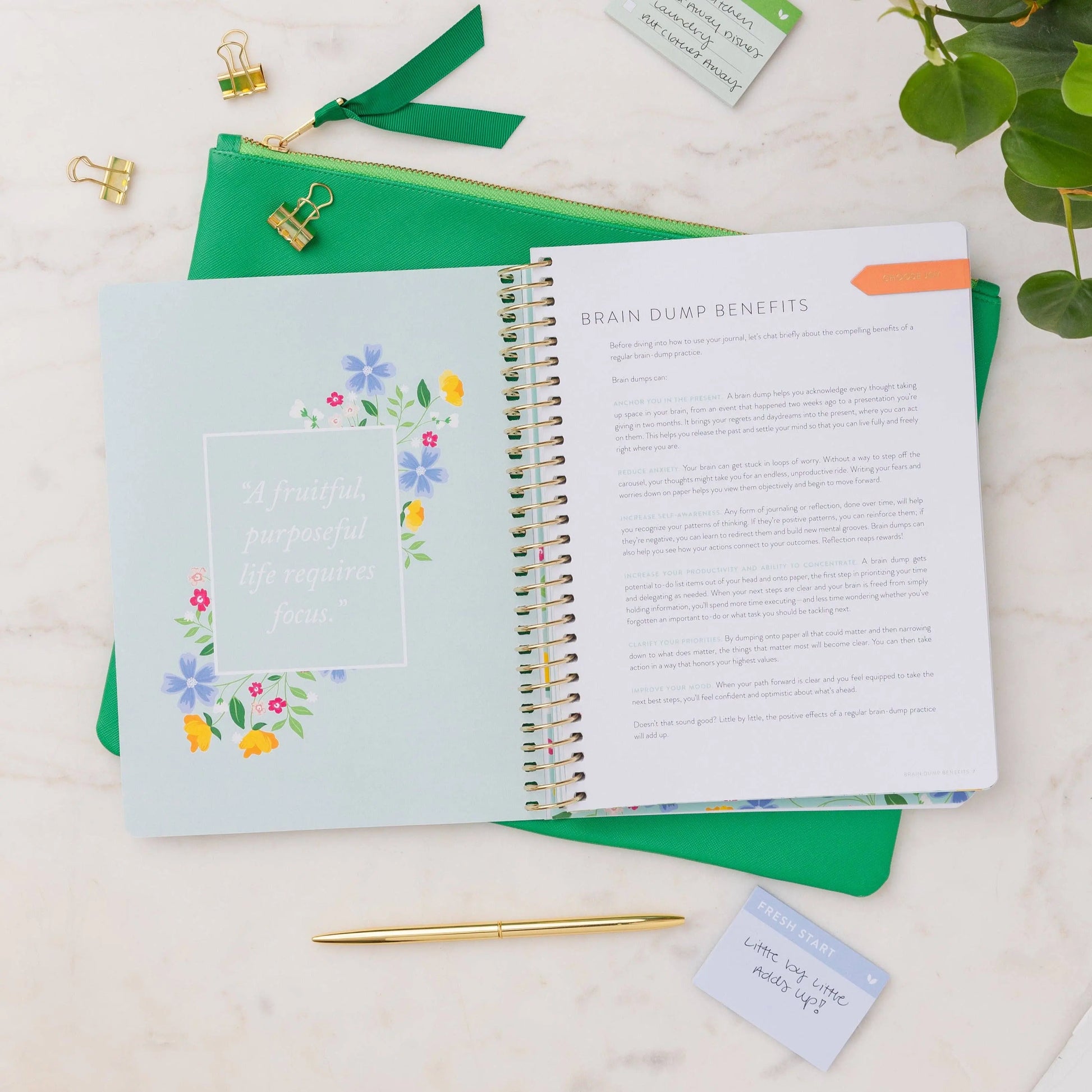 Brain Dump Journal with Gold Stripes by Refresh, A5 size, hardcover, lined pages for productivity and organization