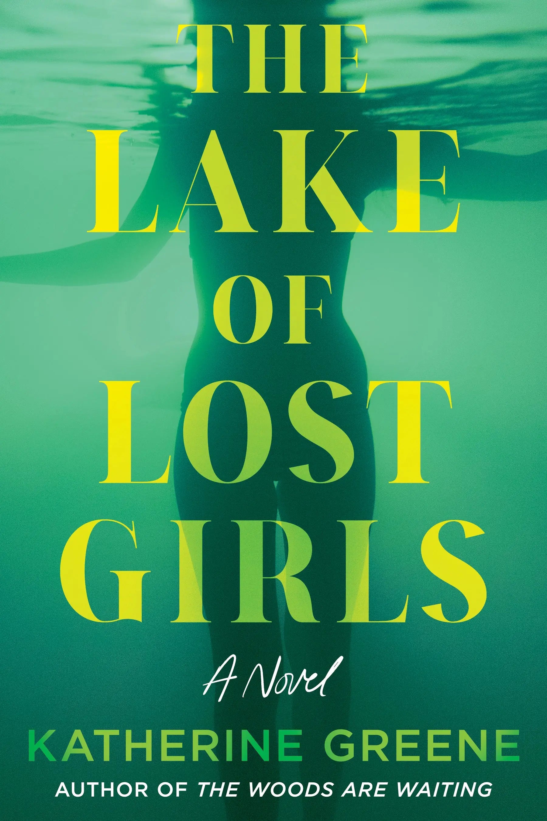 The Lake of Lost Girls Penguin