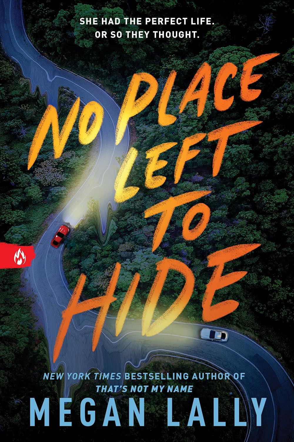No Place Left Hide