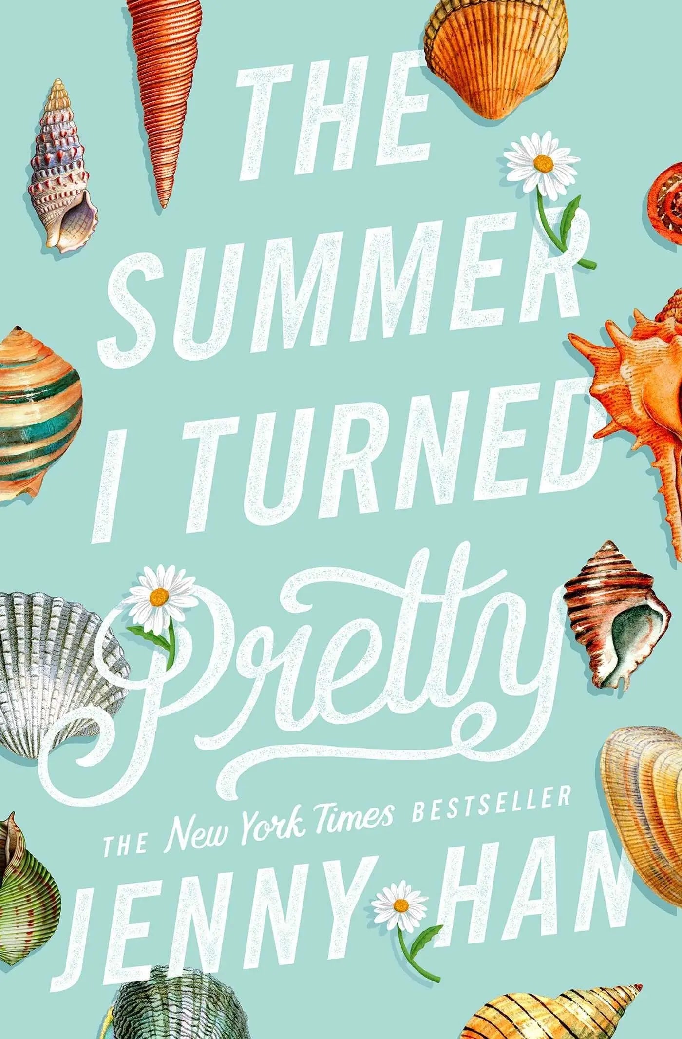 The Summer I Turned Pretty book cover, YA romance novel about summer love and coming-of-age at the shore.