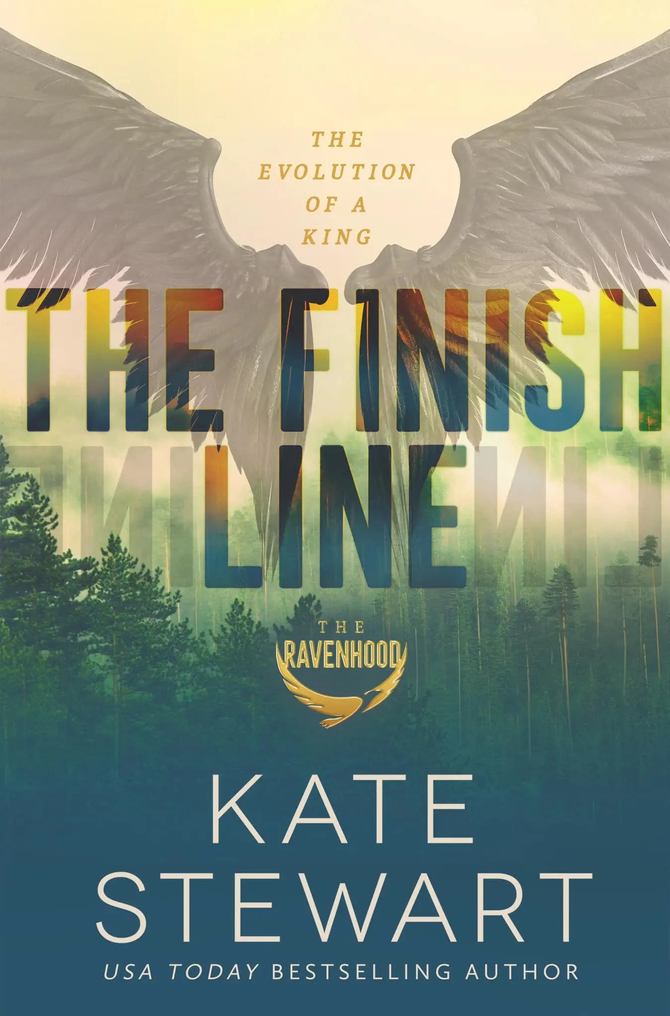 The Finish Line logo, athletic retailer branding with bold typography and a red-and-white color scheme.