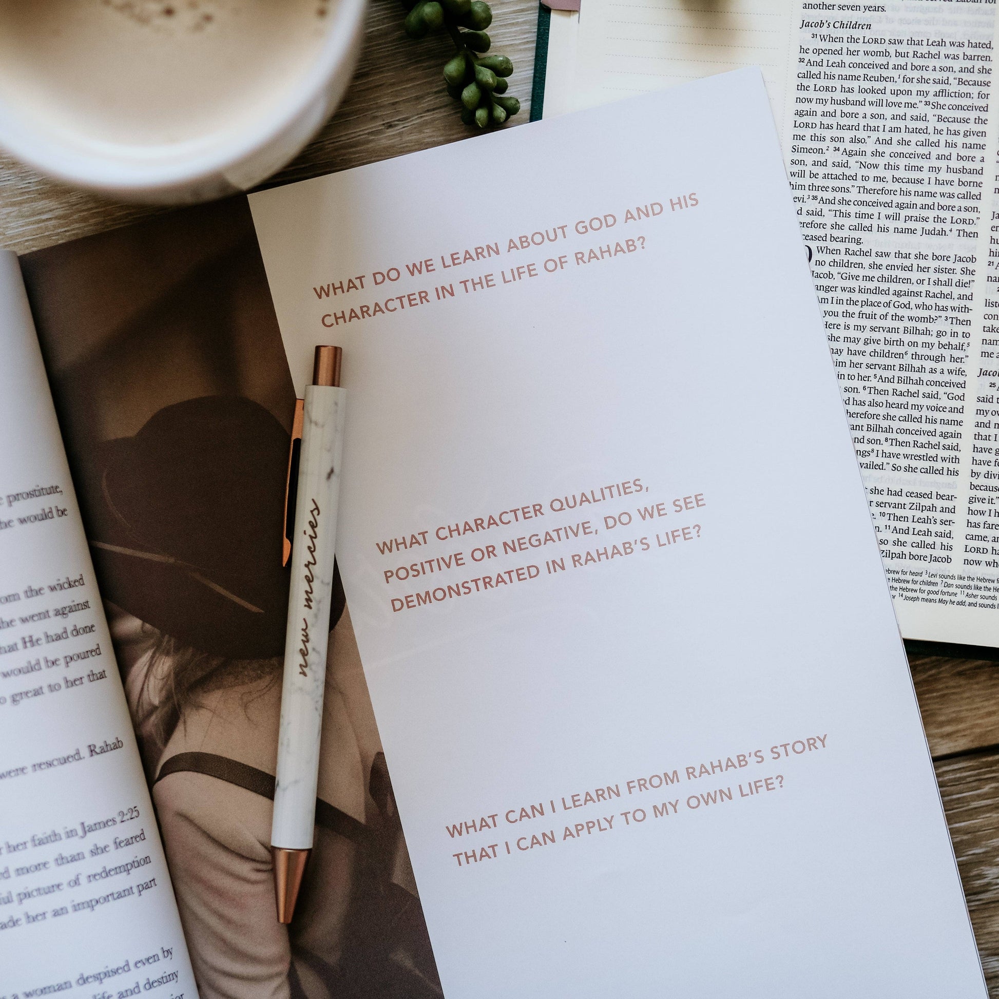 Daughters of Grace Women of the Bible Study guide, spiritual growth paperback for Christian women