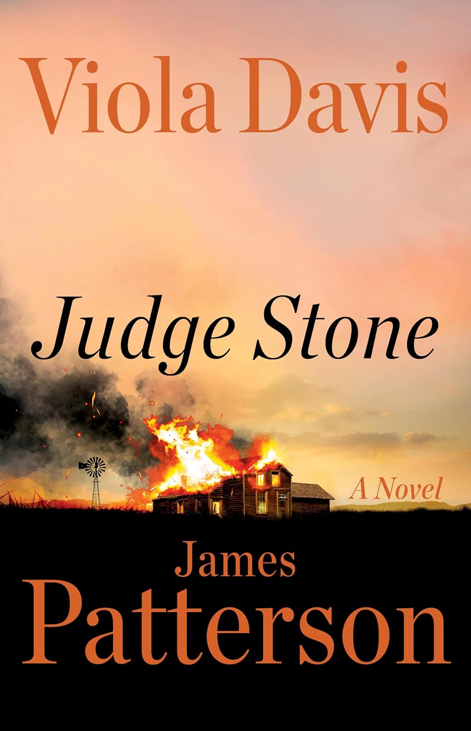 Judge Stone - Paper & Vine Book Bar