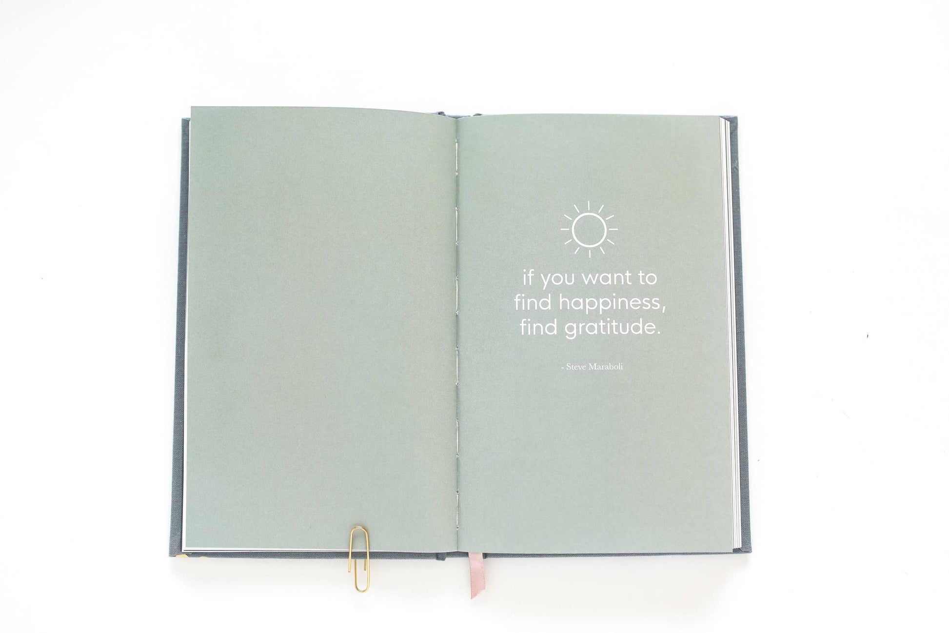 Buy now The Gratitude Journal for Women in pink leather cover, embossed, perfect for daily reflections and self-care pract...