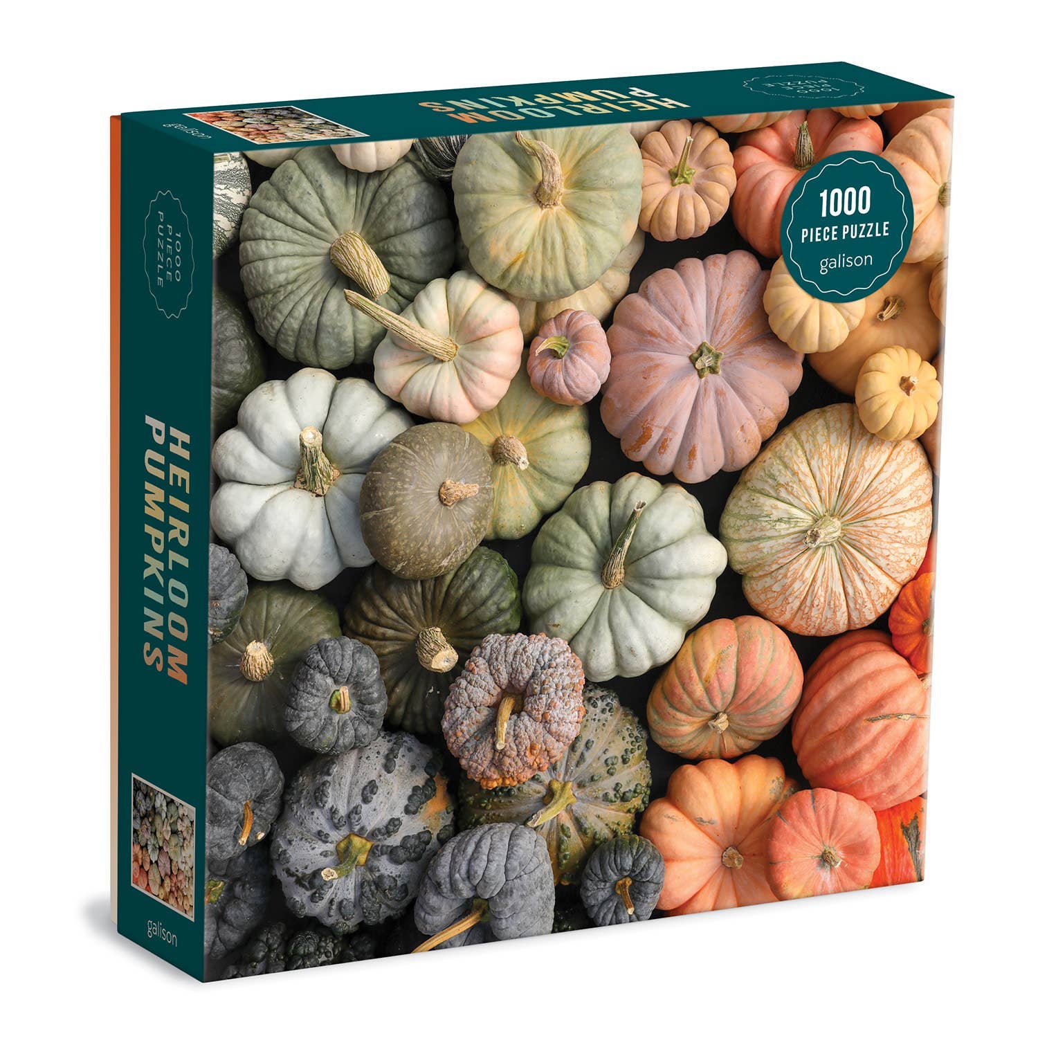 Heirloom Pumpkins 1000 Piece Puzzle in Square Box, vibrant autumn colors, challenging family activity, square packaging
