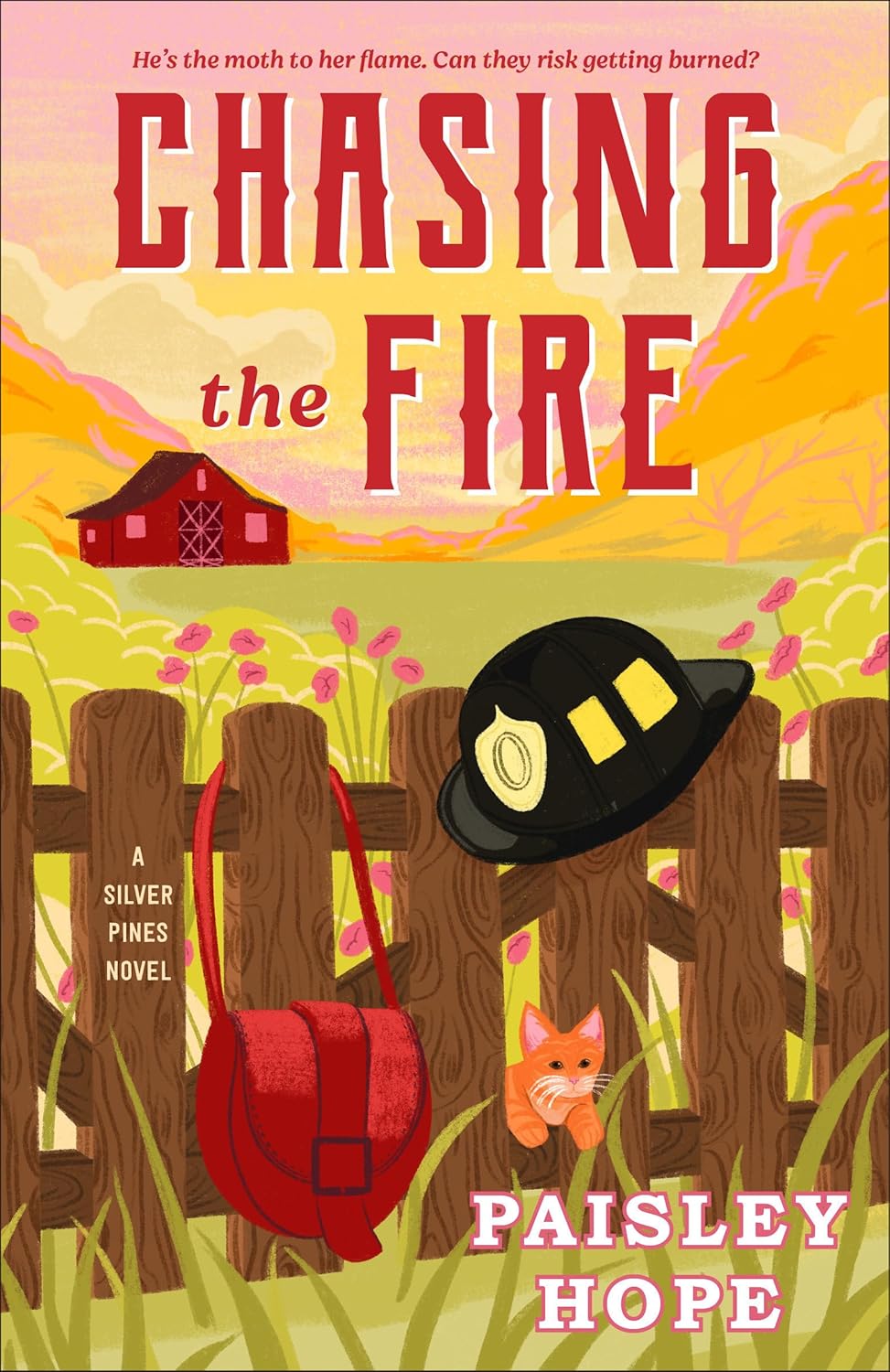 Chasing Fire - Paper & Vine Book Bar