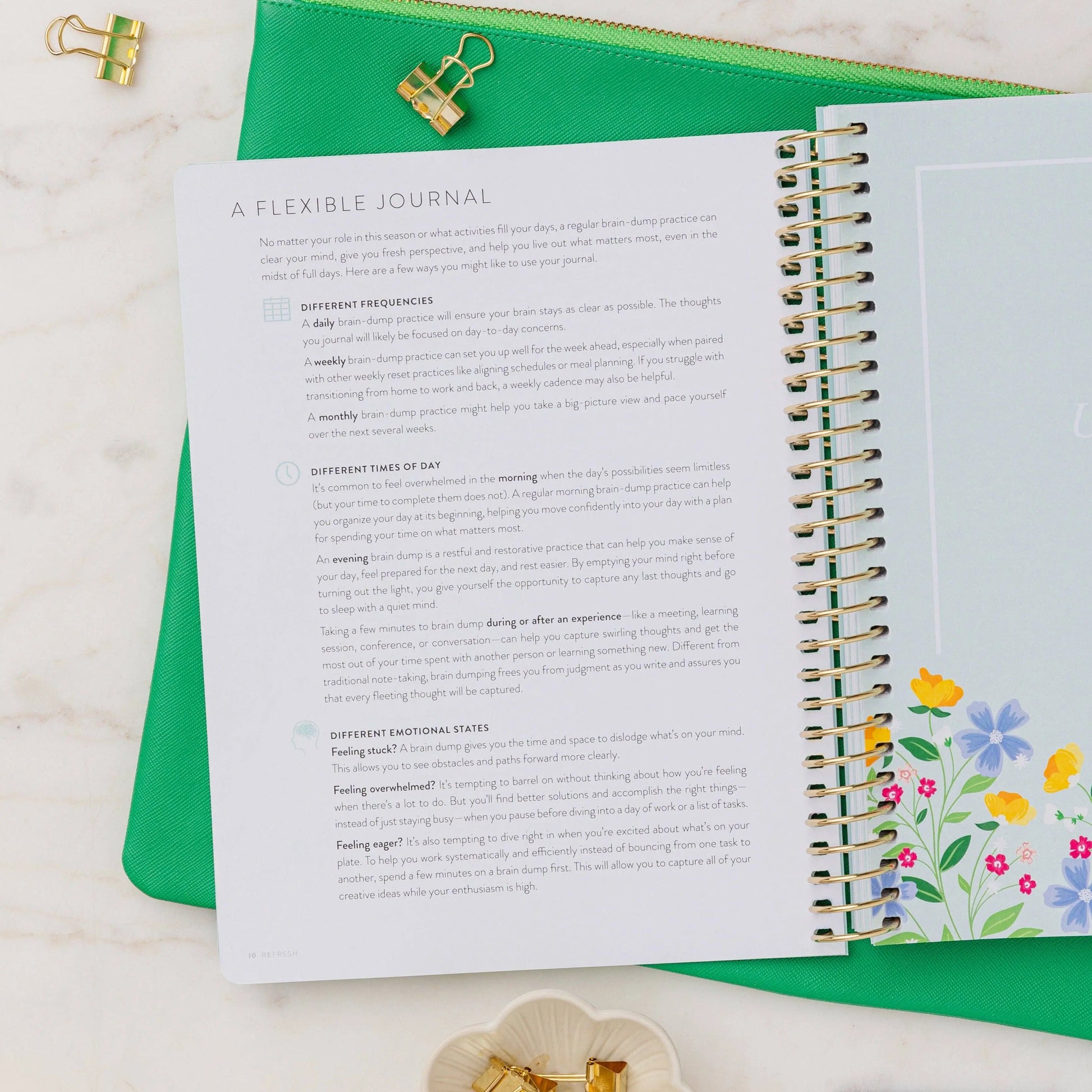 Brain Dump Journal with Gold Stripes by Refresh, A5 size, hardcover, lined pages for productivity and organization