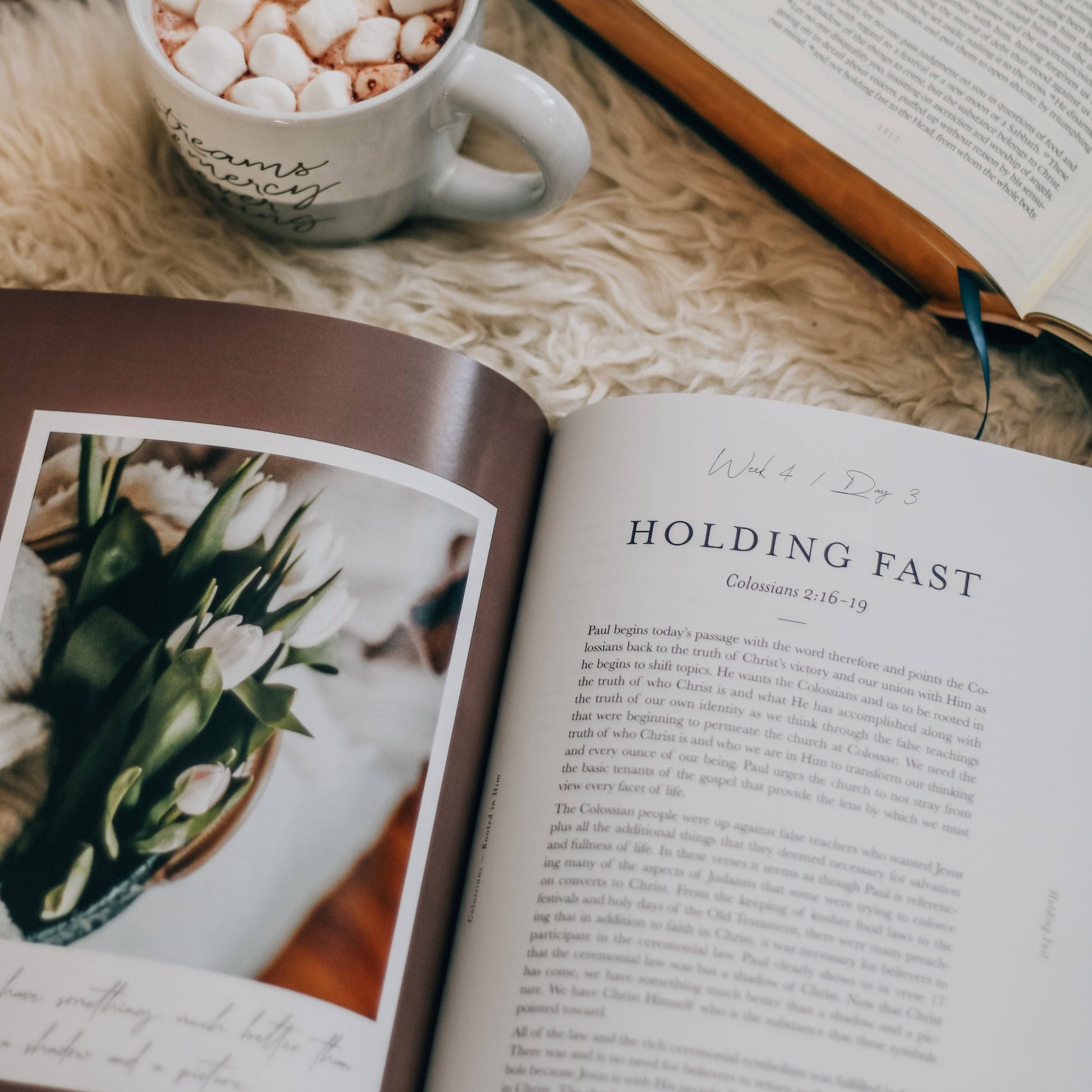 Colossians Bible Study | Rooted in Him guide, spiral-bound, interactive workbook for deep scripture engagement