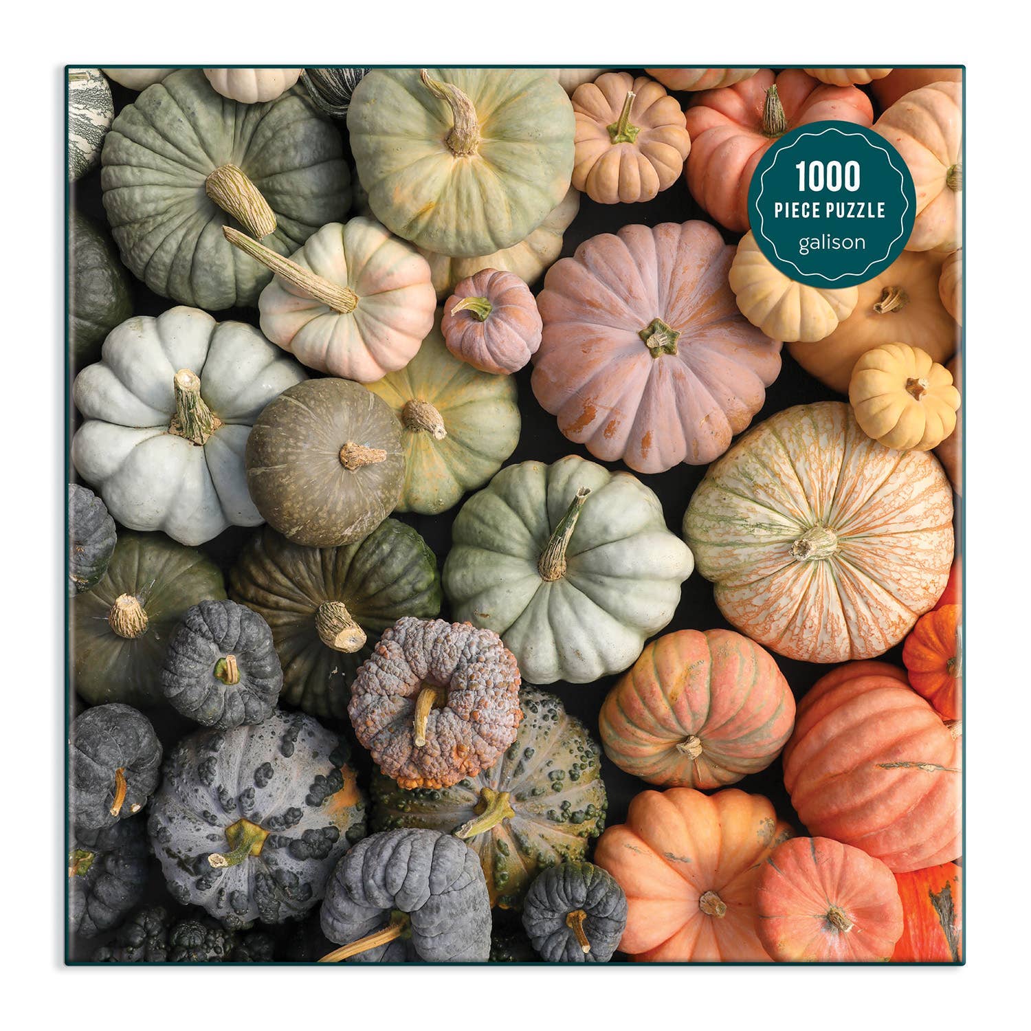 Buy Heirloom Pumpkins 1000 Piece Puzzle in Square Box, vibrant autumn colors, perfect for family game night entertainment.