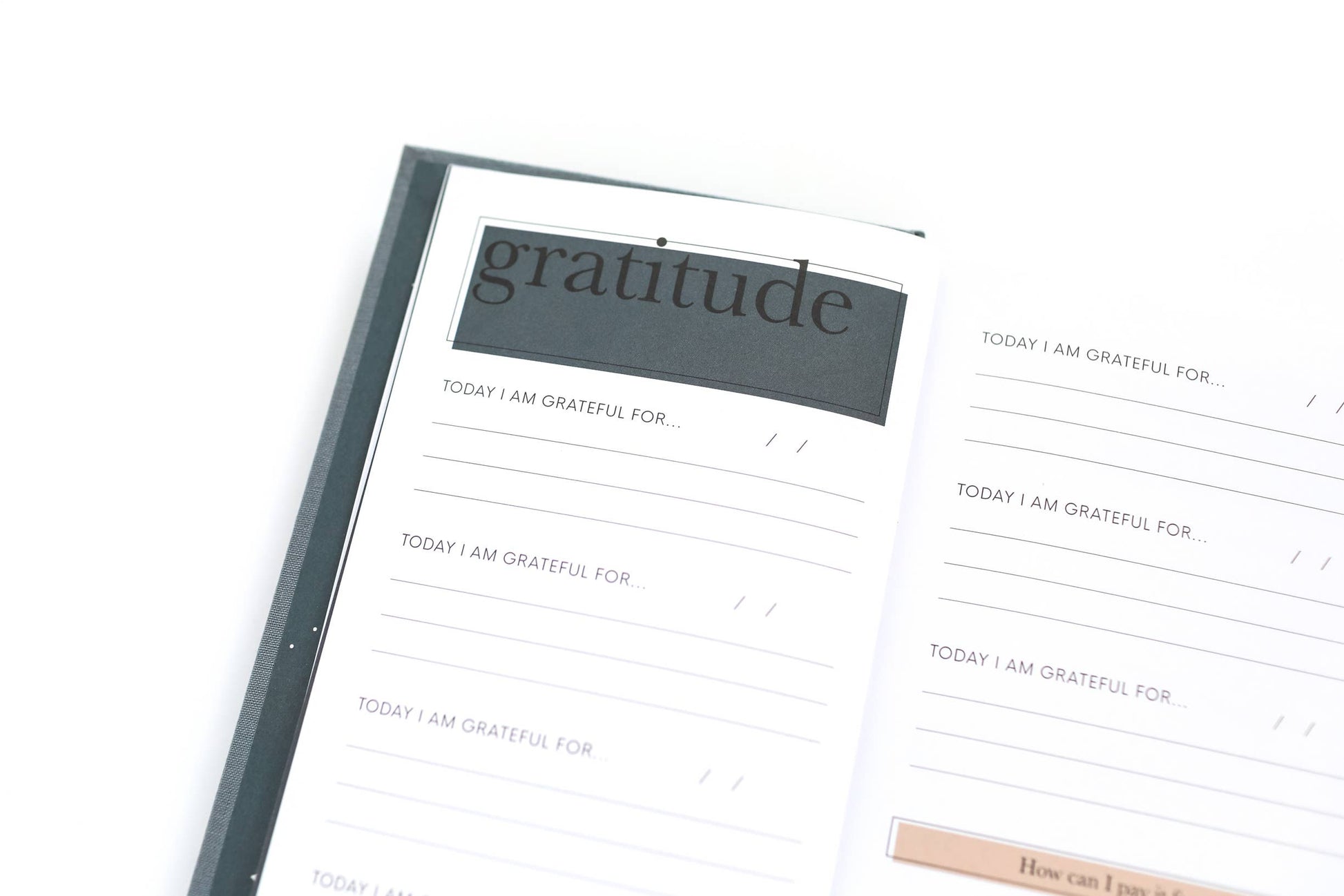 Buy now The Gratitude Journal for Women, pink hardcover, lined pages, inspirational prompts, perfect gift for mindfulness.