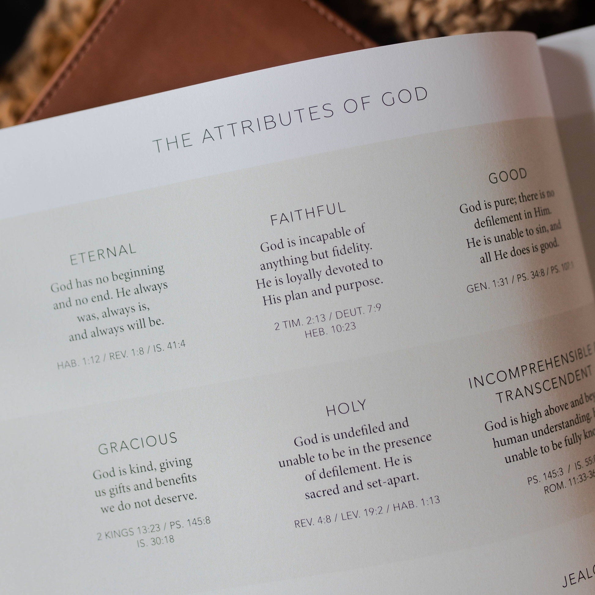 Inspirational book "Esther | Seeing God When He Is Silent" hardcover edition, spiritual growth guide, blue cover