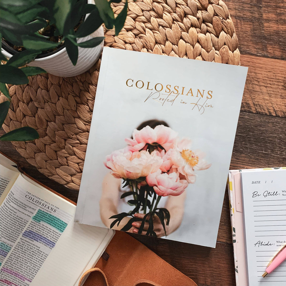 Colossians Bible Study guide Rooted in Him, spiral-bound, interactive workbook for deep scripture engagement